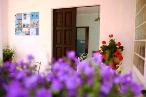 B&B La Casa Del Gelso Acquafredda Exterior foto