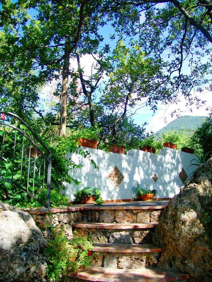 B&B La Casa Del Gelso Acquafredda Exterior foto