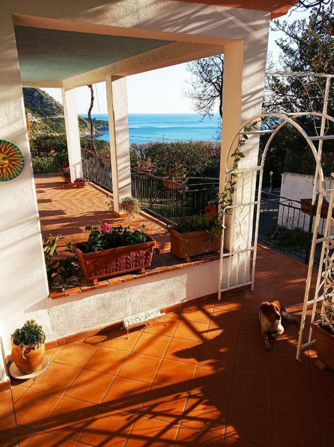 B&B La Casa Del Gelso Acquafredda Exterior foto